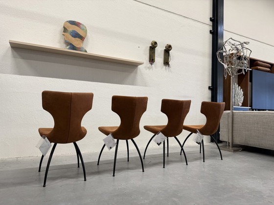 Image 1 of 4 chaises de salle à manger Leolux Callas en cuir Danza