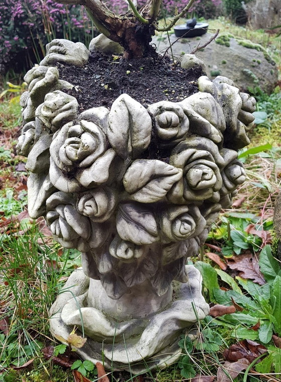 Image 1 of Tête de jardinière vintage