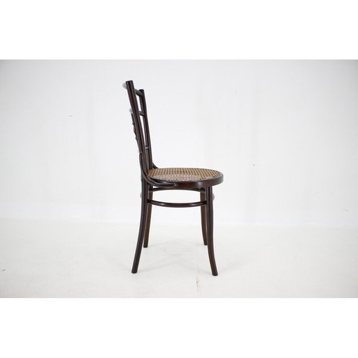 Chaise vintage en hêtre, Autriche 1930