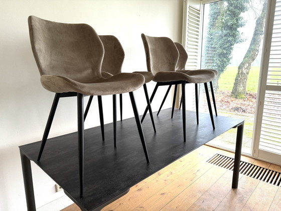 Image 1 of 4 chaises Butterfly - Inutilisées Etat neuf