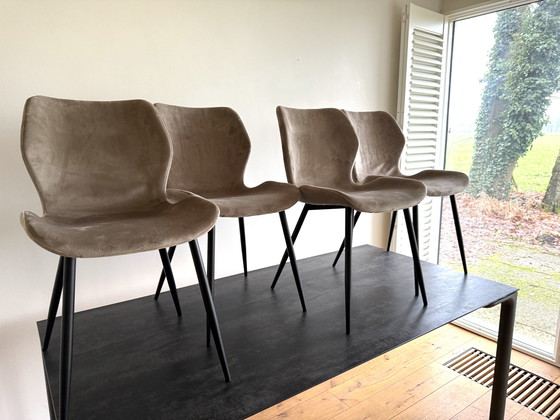 Image 1 of 4 chaises Butterfly - Inutilisées Etat neuf