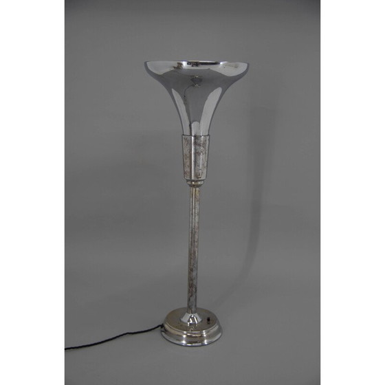 Image 1 of Lampadaire vintage pour Gottlieb Brothers et Brauchbar Brno, Tchécoslovaquie 1920