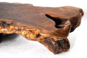 Table basse Rootwood Trunk - Brutalist and Organic Design