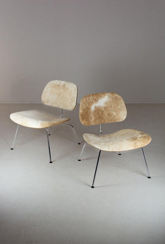 Image 1 of Charles & Ray Eames.Paire de chaises Eames Lcm en peau de veau pour Vitra