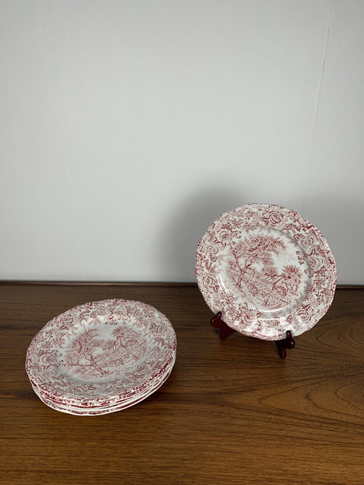 Set de 6 assiettes plates anglaises, tons rouges