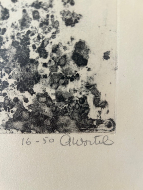 Image 1 of Gravure/quatinte d'Ans Wortel