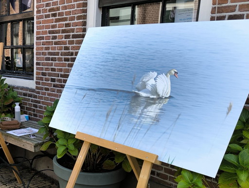 Jackie Riezebos - Cygne sur aluminium