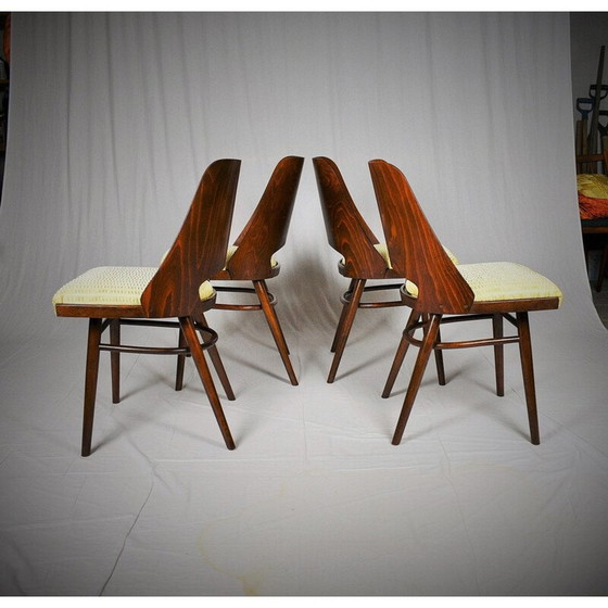 Image 1 of Ensemble de 4 chaises de salle à manger vintage, Ton by Oswald Haerdtl Expo 58 1950s