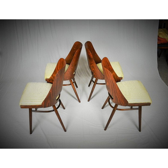 Image 1 of Ensemble de 4 chaises de salle à manger vintage, Ton by Oswald Haerdtl Expo 58 1950s