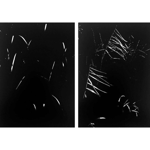 Paire de tableaux anciens La Camargue secrète par L. Clergue