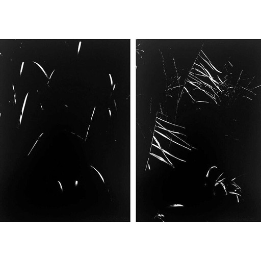 Paire de tableaux anciens La Camargue secrète par L. Clergue