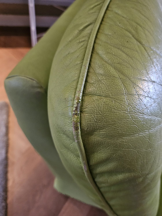 Image 1 of Fauteuil en cuir vintage des années 60 / Vert