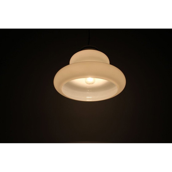 Image 1 of Lampe suspendue vintage en verre par Napako, Tchécoslovaquie 1960