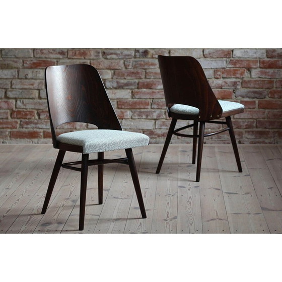 Image 1 of Ensemble de 4 chaises de salle à manger vintage par R. Hofman pour TON, Modèle 514, New Sahco 1960s