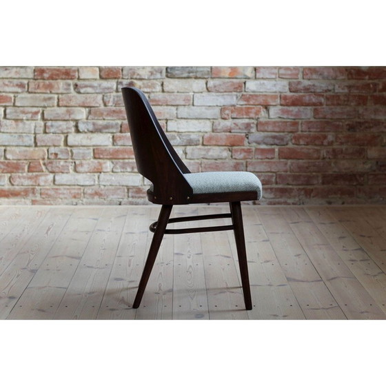 Image 1 of Ensemble de 4 chaises de salle à manger vintage par R. Hofman pour TON, Modèle 514, New Sahco 1960s