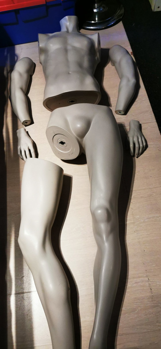Image 1 of Mannequin - Homme - En parfait état