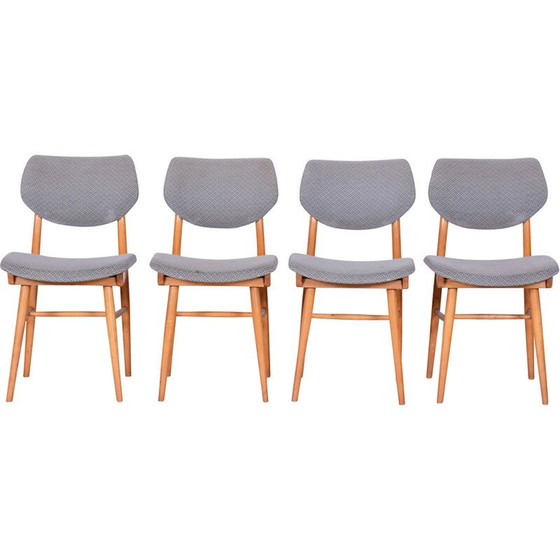 Image 1 of Ensemble de 4 chaises vintage en hêtre pour Jitona Soběslav, Tchécoslovaquie 1960