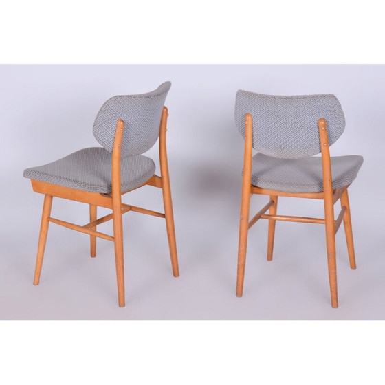 Image 1 of Ensemble de 4 chaises vintage en hêtre pour Jitona Soběslav, Tchécoslovaquie 1960