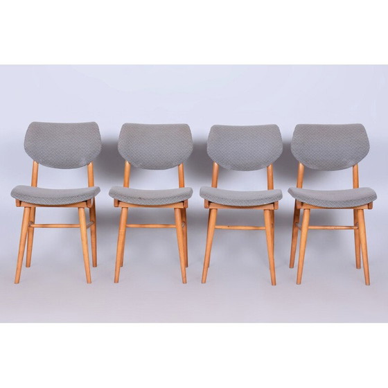 Image 1 of Ensemble de 4 chaises vintage en hêtre pour Jitona Soběslav, Tchécoslovaquie 1960