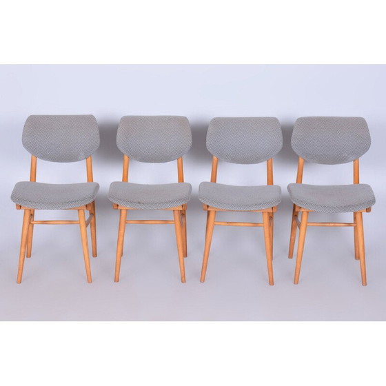 Image 1 of Ensemble de 4 chaises vintage en hêtre pour Jitona Soběslav, Tchécoslovaquie 1960