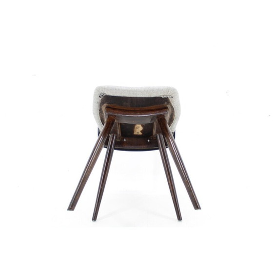 Image 1 of Ensemble de 4 chaises de salle à manger vintage pour Tatra, Tchécoslovaquie 1960