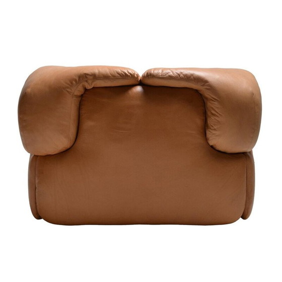 Image 1 of Canapé vintage en cuir marron de Rosselli pour Saporiti en fibre de verre 1970