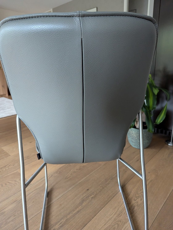 Image 1 of 6x Bert Plantagie Musterring chaise de salle à manger moderne en cuir gris