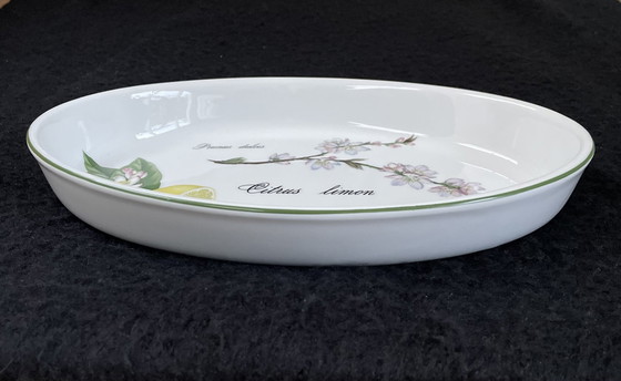 Image 1 of Bol en porcelaine vintage Apilco, Elyssian Garden