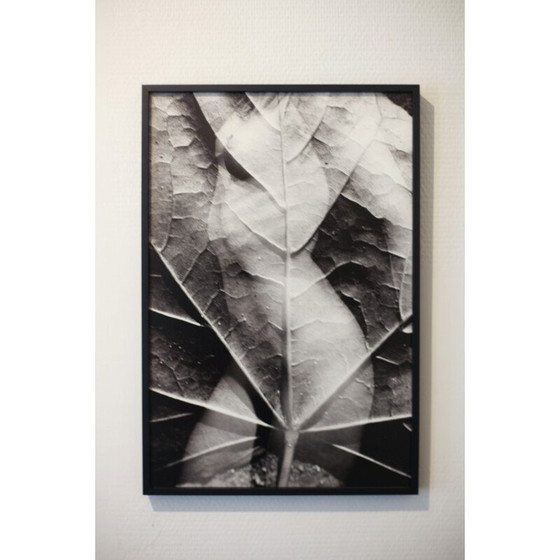 Image 1 of Peinture argentique vintage mouvements naturels 06 par Meïdhy Bichon, 2019