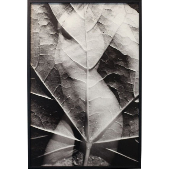 Image 1 of Peinture argentique vintage mouvements naturels 06 par Meïdhy Bichon, 2019