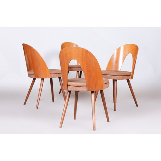 Image 1 of Ensemble de 4 chaises du milieu du siècle par Antonín Šuman, années 1950