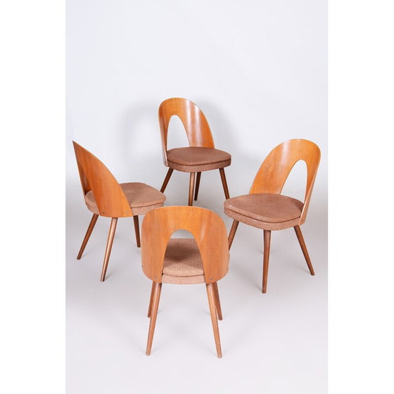 Image 1 of Ensemble de 4 chaises du milieu du siècle par Antonín Šuman, années 1950