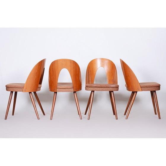 Image 1 of Ensemble de 4 chaises du milieu du siècle par Antonín Šuman, années 1950
