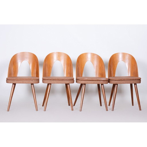 Ensemble de 4 chaises du milieu du siècle par Antonín Šuman, années 1950