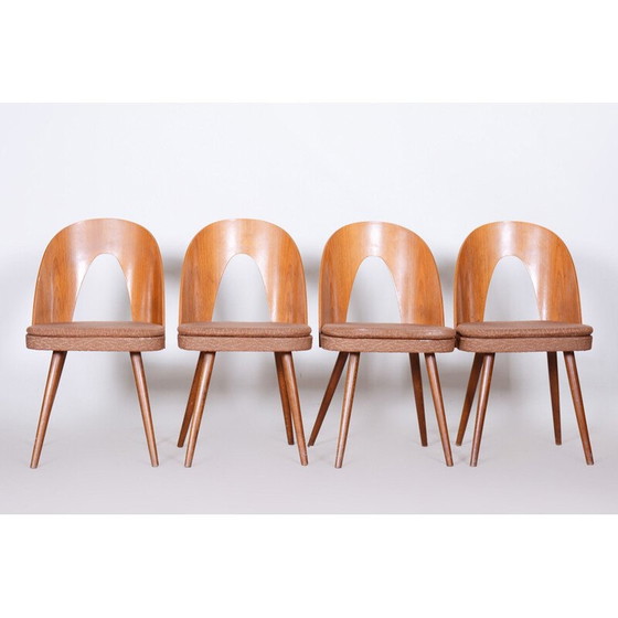 Image 1 of Ensemble de 4 chaises du milieu du siècle par Antonín Šuman, années 1950