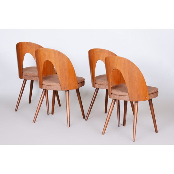 Image 1 of Ensemble de 4 chaises du milieu du siècle par Antonín Šuman, années 1950