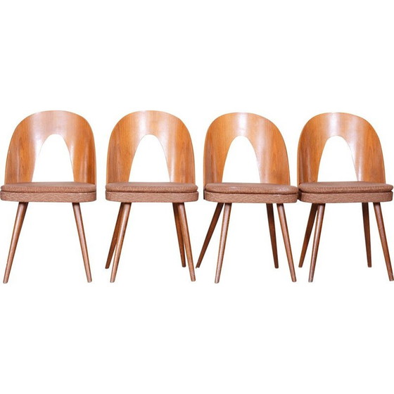 Image 1 of Ensemble de 4 chaises du milieu du siècle par Antonín Šuman, années 1950