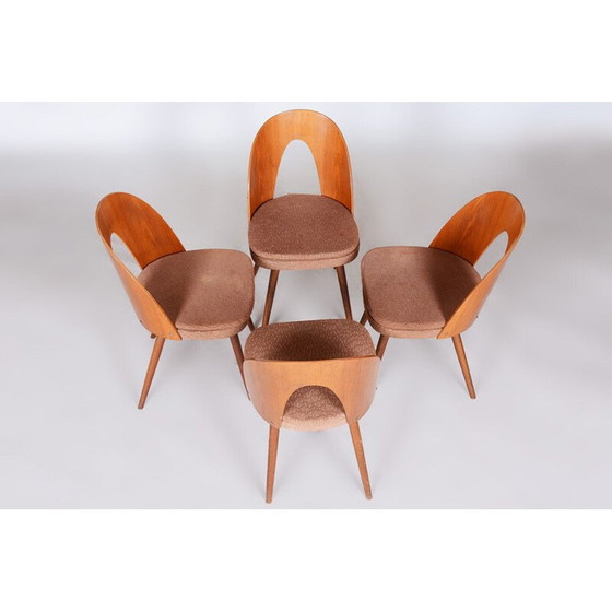 Image 1 of Ensemble de 4 chaises du milieu du siècle par Antonín Šuman, années 1950