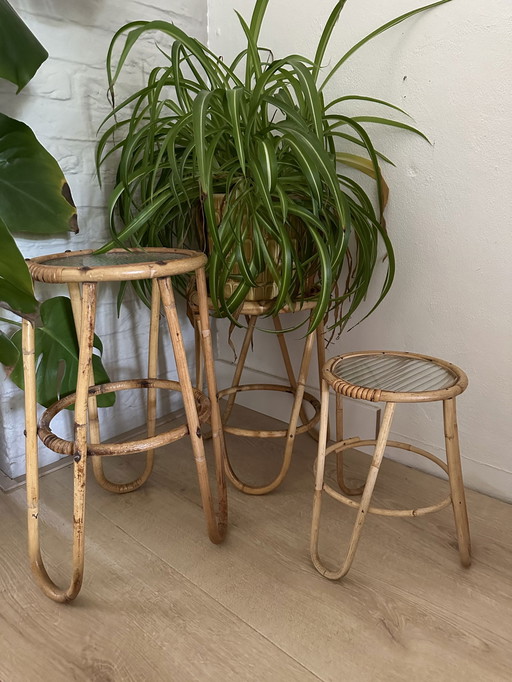 Set de table à plantes en rotin