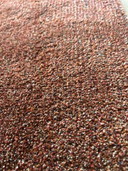 1x Panneau Tapis (Maintenant CS Rugs) Lilain