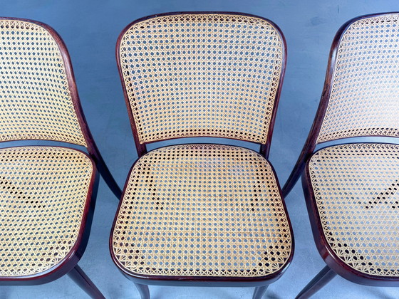 Image 1 of Lot de 4 chaises Mid Century Thonet modèle 811 Josef Hoffmann