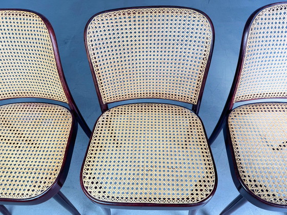 Image 1 of Lot de 4 chaises Mid Century Thonet modèle 811 Josef Hoffmann