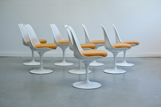 Image 1 of Ensemble de 8 chaises tulipes pivotantes par Eero Saarinen pour Knoll International - 1960S