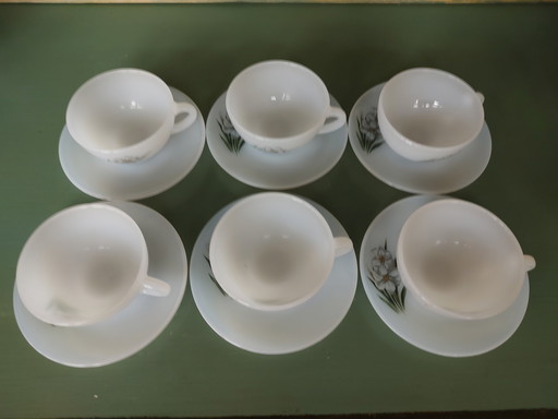 Arcopal Narcissus Set de 12 Nouveau dans la boîte