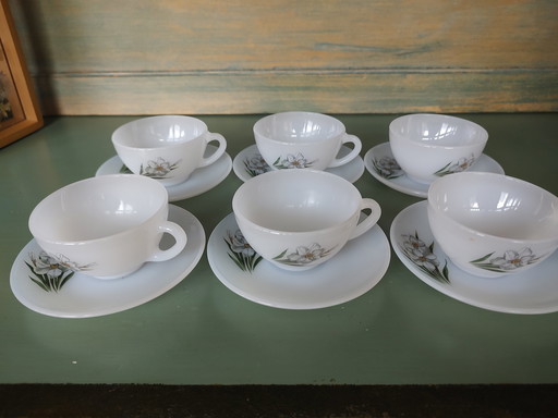 Arcopal Narcissus Set de 12 Nouveau dans la boîte