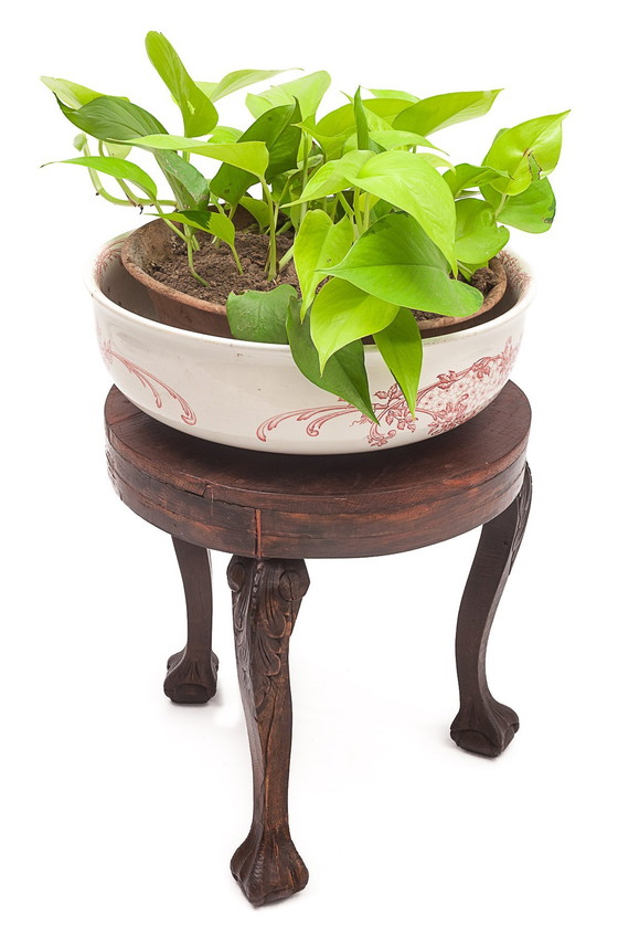 Image 1 of Porte-Plante En Ébène De Macassar Plein, 1900