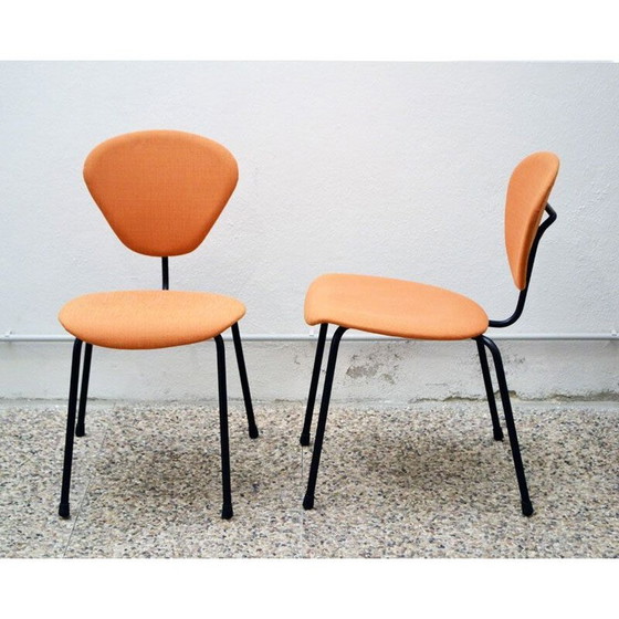 Image 1 of Paire de chaises vintage par Campo e Graffi pour ISA Bergamo, 1950
