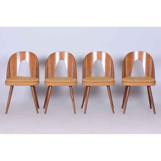 Image 1 of Ensemble de 4 chaises du milieu du siècle par A. Šuman, Tchèque, années 1950