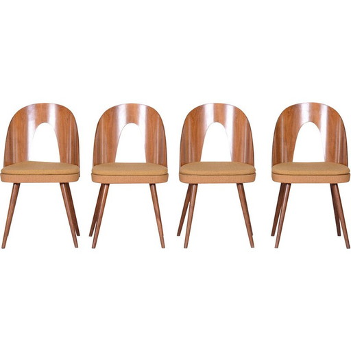 Ensemble de 4 chaises du milieu du siècle par A. Šuman, Tchèque, années 1950