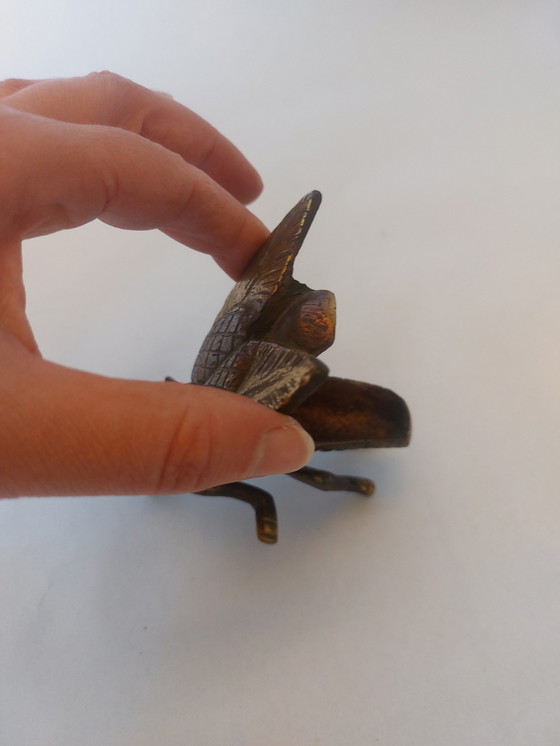 Image 1 of Boîte à bijoux en laiton pour mouche